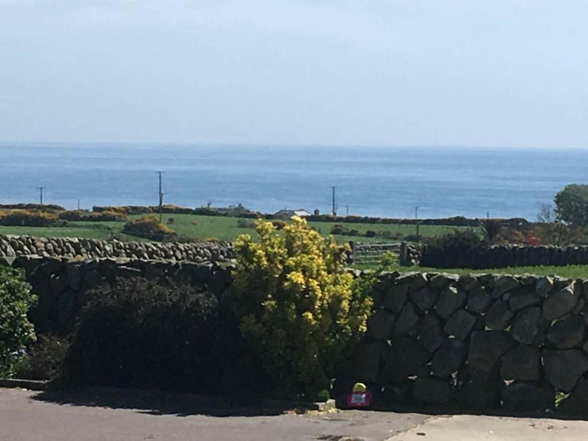 Moneydarragh Cottage With Uninterrupted Mountain And Sea Views- Hot Tub Available For Hire Annalong Exterior photo